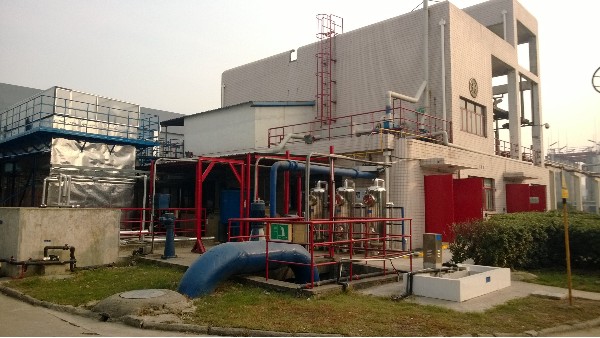 蘇州某農藥公司填料案例