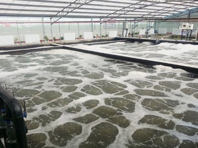 高寒地區生活污水處理技術解決方案