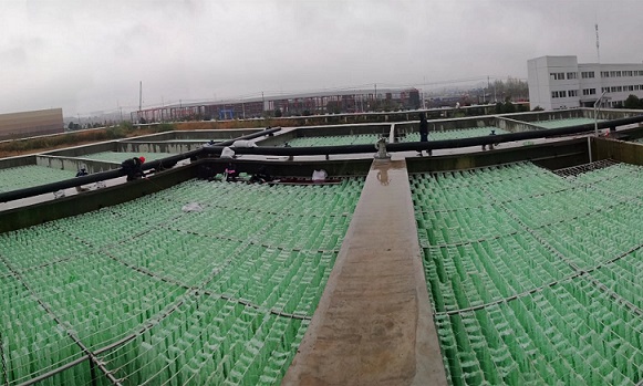 生物填料印染行業案例