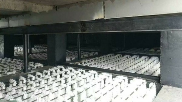 內蒙西來峰煤化工填料案例